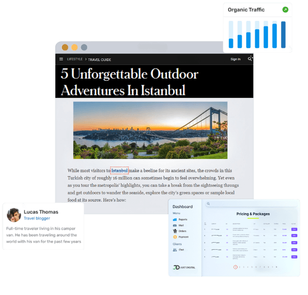 Blogger Outreach service